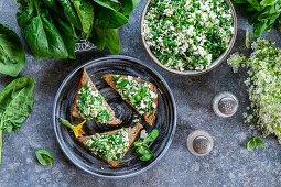 Herbs and cottage cheese toast