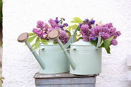 Bouquets of lilacs, branches of chestnut leaves and aquilegia in watering cans