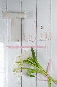 White tulips and 'Tulip' written on wooden wall