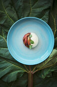 Take five: rhubarb with yoghurt and cream mousse, elderflower syrup and sorrel