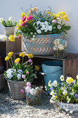 Easter terrace with primroses, horned violets, daisy, forget-me-nots and baskets with Easter eggs