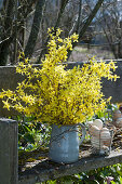 Strauß aus Zweigen vom Goldglöckchen auf Bank im Garten, Drahtkorb mit Ostereiern