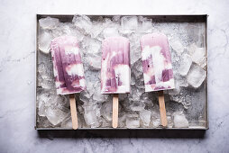 Vegan blueberry yoghurt and coconut milk ice lollies