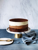 Chocolate Buttermilk Ombre Cake