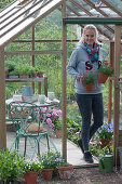 Woman fetches pots with carnations from the greenhouse