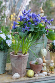Small Easter decorations with scented violets, grape hyacinth and horned violets, Easter eggs, Easter bunnies and empty snail shells as decoration