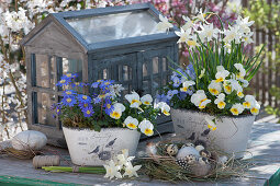 Pots with daffodil 'Toto', horned violet and ray anemone, a small daffodils bouquet, Easter eggs in an Easter basket made of grass