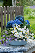 Schale mit Hortensie, Margerite, blaues Gänseblümchen und Thymian