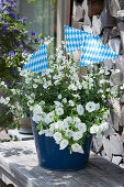 Blauer Topf mit weißen Zauberglöckchen und Elfensporn dekoriert mit Bayrischen Wimpeln