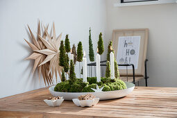 DIY Advent wreath with miniature trees made of moss