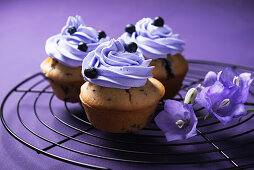 Vegane Blaubeer-Cupcakes mit Blaubeercreme-Topping