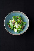 Green tomato salad with sorrel and goat's cheese