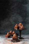 Mini-Schokoladenkuchen mit Kakaosahne