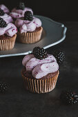 Chocolate cupcakes with black curant cream cheese frosting and decorated with blackberries