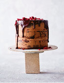 Chocolate, coconut and cherry sponge