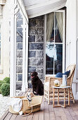 Hunde im Hundekorb auf der Terrasse mit Korbstuhl