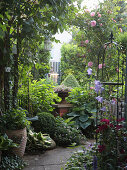 Garden with climbing rose on anarch, climbing clematis, perennials on the path