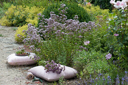 Flower bed with oregano and lady's mantle, pillows to sit on