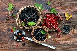 Stillleben mit Brombeeren, Heidelbeeren und Johannisbeeren