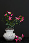 Modern arrangement of dianthus