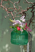 Bouquet of sweet peas and obedient plant hung from branch of contorted hazel