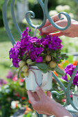 Frau hängt violetten Strauß aus Flammenblumen, Stachelbeeren und Salbeiblättern an Stuhllehne