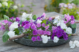 Flower arrangement in a wide water bowl with Phlox and branches