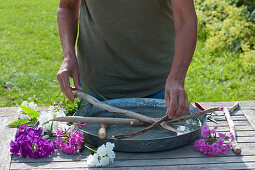 Woman creates flower arrangement in a wide water bowl with Phlox and branches