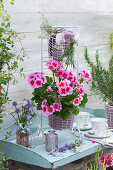 Standing geranium 'Flower Fairy Pink' in a wicker frame, sprigs of rosemary and thyme, bouquets of chives, candytuft and bellflower, cups