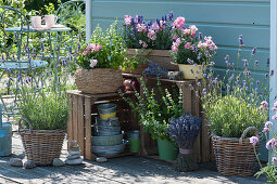 Bienenfreundliches Arrangement mit Lavendel, Löwenmäulchen und blühendem Basilikum