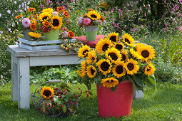 Bouquets of sunflowers, zinnias, dahlias and ornamental apples