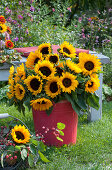 Lush bouquet of sunflowers in a red tin bucket