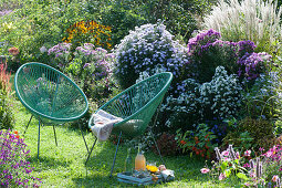 Acapulco Chair at the aster bed