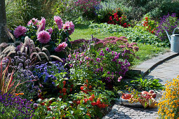 Silver bowl with apples, malus prunifolia and Hokkaido pumpkin on the bed with lantern plant, autumn aster, dahlia, autumn anemone, feather bristle grass, red grass 'Red Baron', sedum plant and ornamental sage 'Ignition Purple'