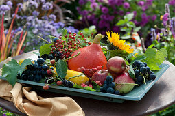 Holzschale mit Hokkaido-Kürbis, Äpfeln, Weintrauben, Zucchini, Brombeeren, Hagebutten, Weinlaub und Sonnenblume