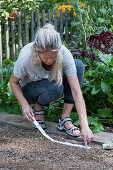 Sow the lettuce mix in late summer with a seed band