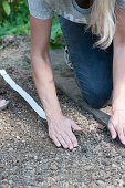 Sow the lettuce mix in late summer with a seed band