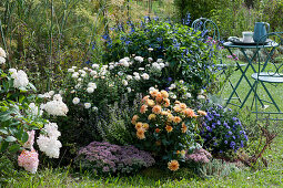 Herbstbeet mit Chrysantheme 'White Bouquet', Aster 'Sapphire', Dahlie 'Gelbe Crellin' und Ziersalbei Rockin, Fetthenne 'Painted Pebble' und Strauchhortensie