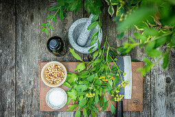 Ingredients for lovage pesto