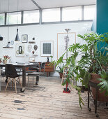 A dining table with classic chairs on wooden floorboards in a loft apartment