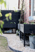 Black raised beds on gravel area in back garden