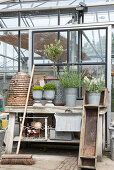 A potting table at a green house