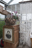 A basket of cones on an old cupboard with portrait in a green house