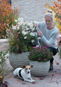 Autumn anemone 'Honorine Jobert', fountain grass and chrysanthemum 'Tiplo' in grey planters, woman watering, dog Zula