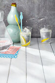 Ice-cold gin and tonic