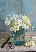 Posy of chamomile