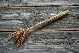 Dinkel (Triticum aestivum subsp. spelta)