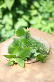 Fresh lemon balm and chamomile on wooden table