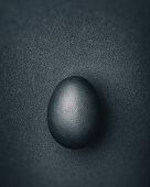 Dark gray Easter egg on a dark gray background