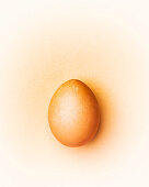 Brown chicken egg on a beige background